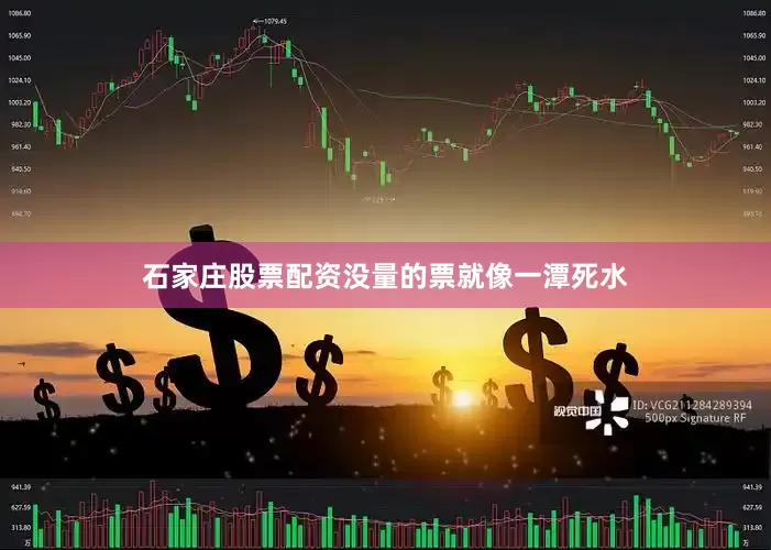 石家庄股票配资没量的票就像一潭死水