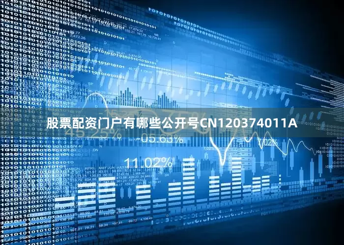 股票配资门户有哪些公开号CN120374011A